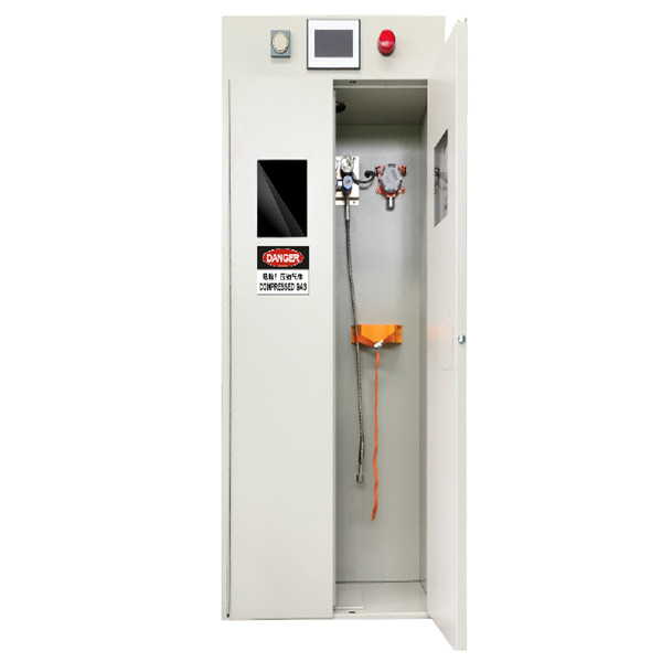 One of Hottest for Electronic Work Bench -
 Gas Cylinder Storage Cabinet – Sateri